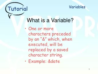 What is a Variable?