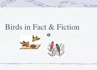 Birds in Fact &amp; Fiction