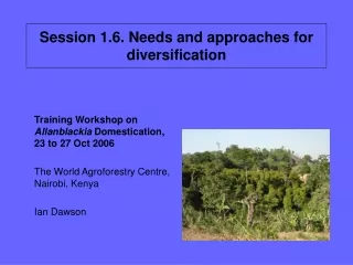 Session 1.6. Needs and approaches for diversification