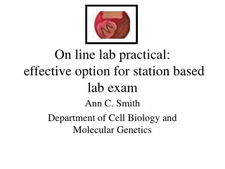 On line lab practical:  effective option for station based lab exam