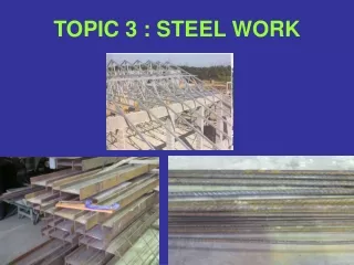 TOPIC 3 : STEEL WO RK