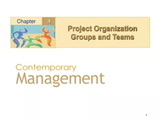 Project Organization Groups and Teams