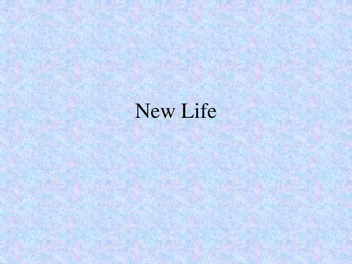 new life
