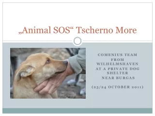 „Animal SOS“ Tscherno More