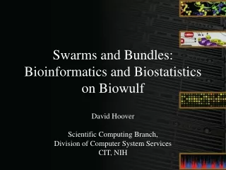 David Hoover Scientific Computing Branch,  Division of Computer System Services CIT, NIH