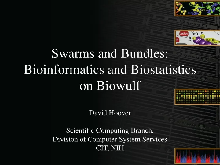swarms and bundles bioinformatics