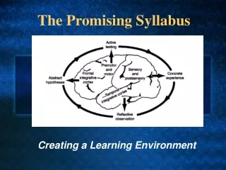 The Promising Syllabus
