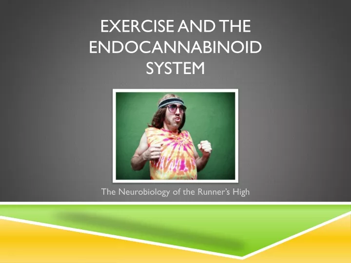exercise and the endocannabinoid system