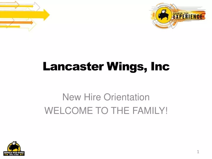 lancaster wings inc