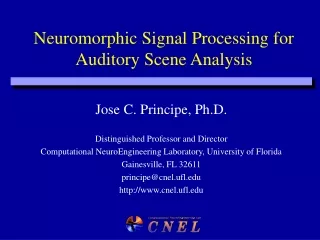 Neuromorphic Signal Processing for Auditory Scene Analysis
