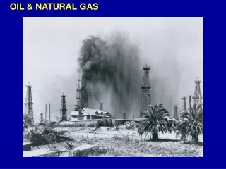 OIL &amp; NATURAL GAS