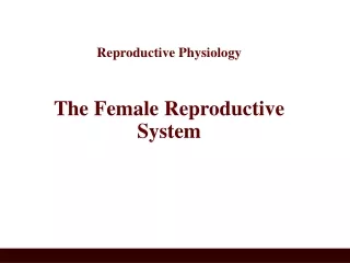 Reproductive Physiology The Female Reproductive System
