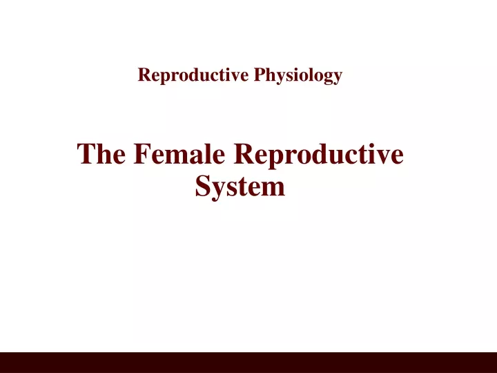 reproductive physiology the female reproductive system