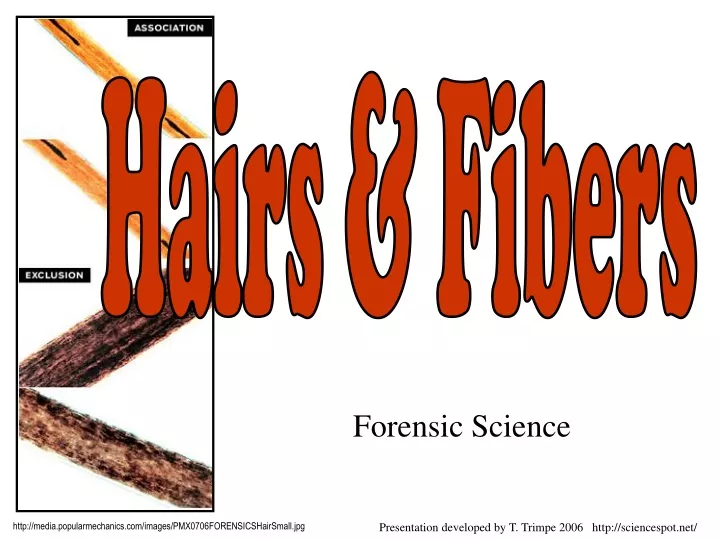 forensic science