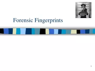 Forensic Fingerprints