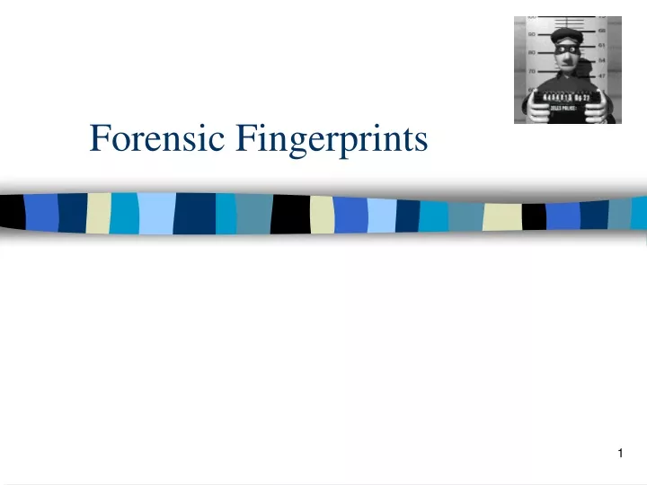 forensic fingerprints