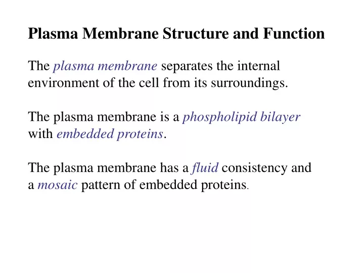 plasma membrane structure and function