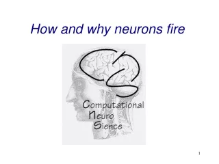 How and why neurons fire