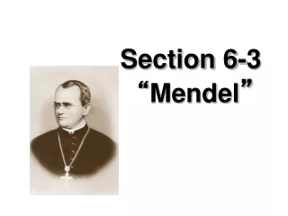 Section 6-3 “ Mendel ”