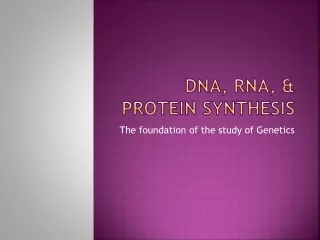 DNA, RNA, &amp; Protein Synthesis