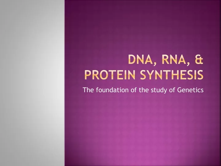 dna rna protein synthesis