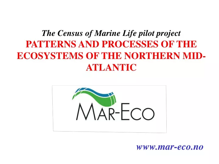 the census of marine life pilot project patterns