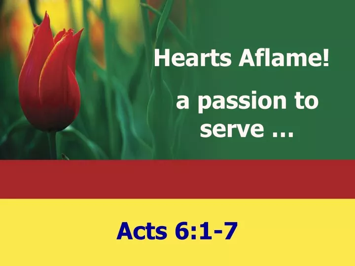 hearts aflame a passion to serve