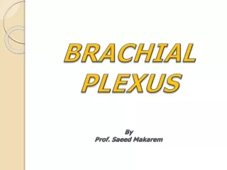 BRACHIAL PLEXUS By Prof. Saeed Makarem