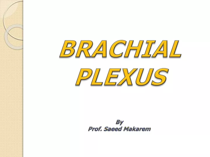 brachial plexus by prof saeed makarem