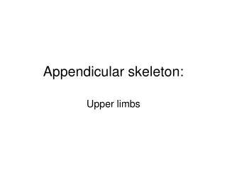 Appendicular skeleton: