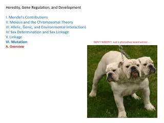 Heredity, Gene Regulation, and Development  I. Mendel's Contributions