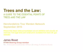 Trees and the Law: A GUIDE TO THE ESSENTIAL POINTS OF