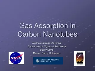 Gas Adsorption in Carbon Nanotubes