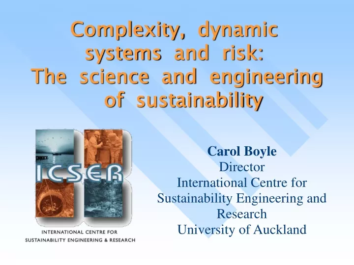complexity dynamic systems and risk the science and engineering of sustainability