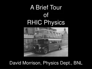 A Brief Tour of RHIC Physics