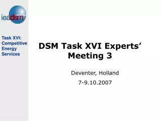DSM Task XVI Experts’ Meeting 3