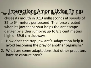 Interactions Among Living Things