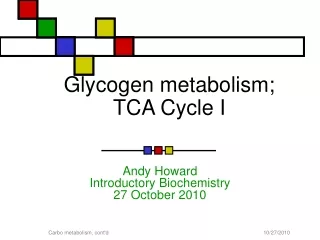 Glycogen metabolism; TCA Cycle I