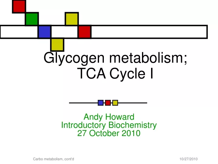 glycogen metabolism tca cycle i