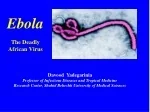 Ebola Virus: Causes, Symptoms, and Prevention - slide 1