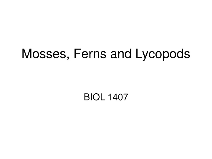 mosses ferns and lycopods