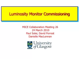 Luminosity Monitor Commissioning