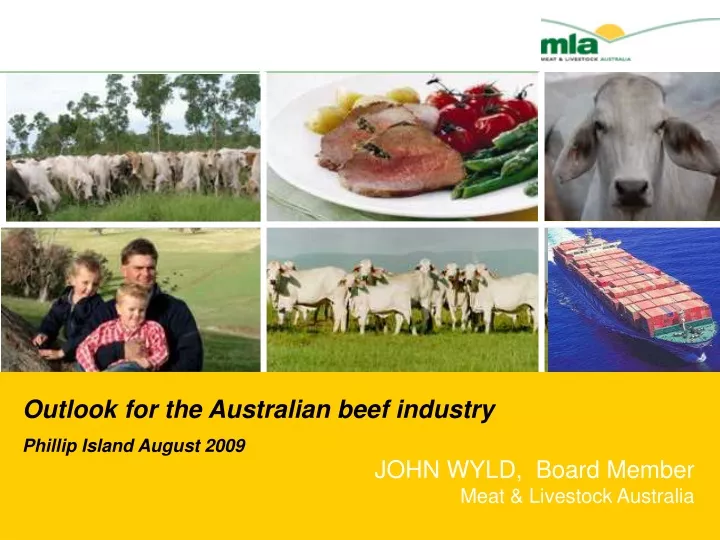 outlook for the australian beef industry phillip
