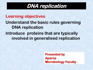 DNA replication