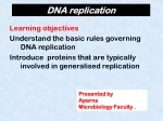 DNA replication - slide 1