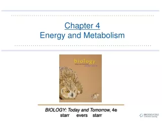 Chapter 4  Energy and Metabolism