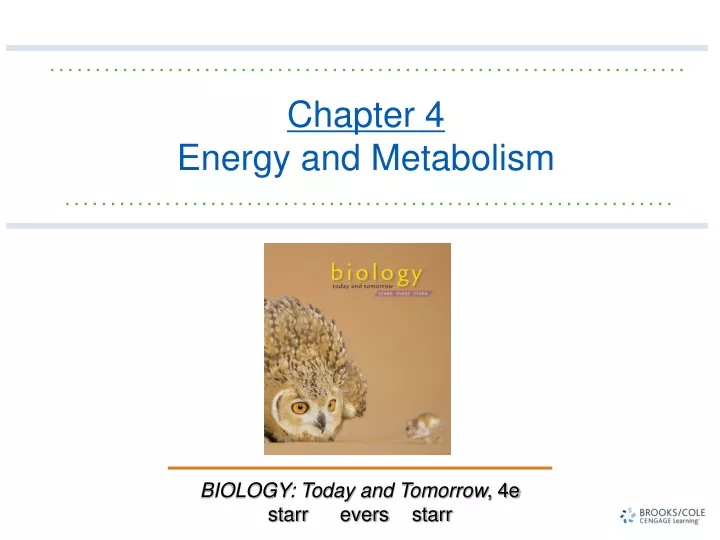 chapter 4 energy and metabolism