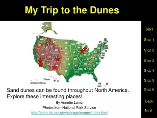 My Trip to the Dunes