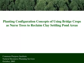 Planting Configuration Concepts of Using Bridge Crops