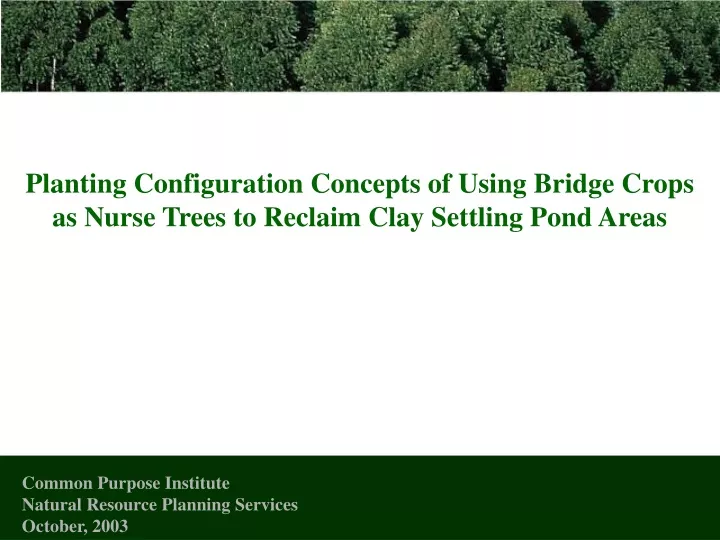 planting configuration concepts of using bridge